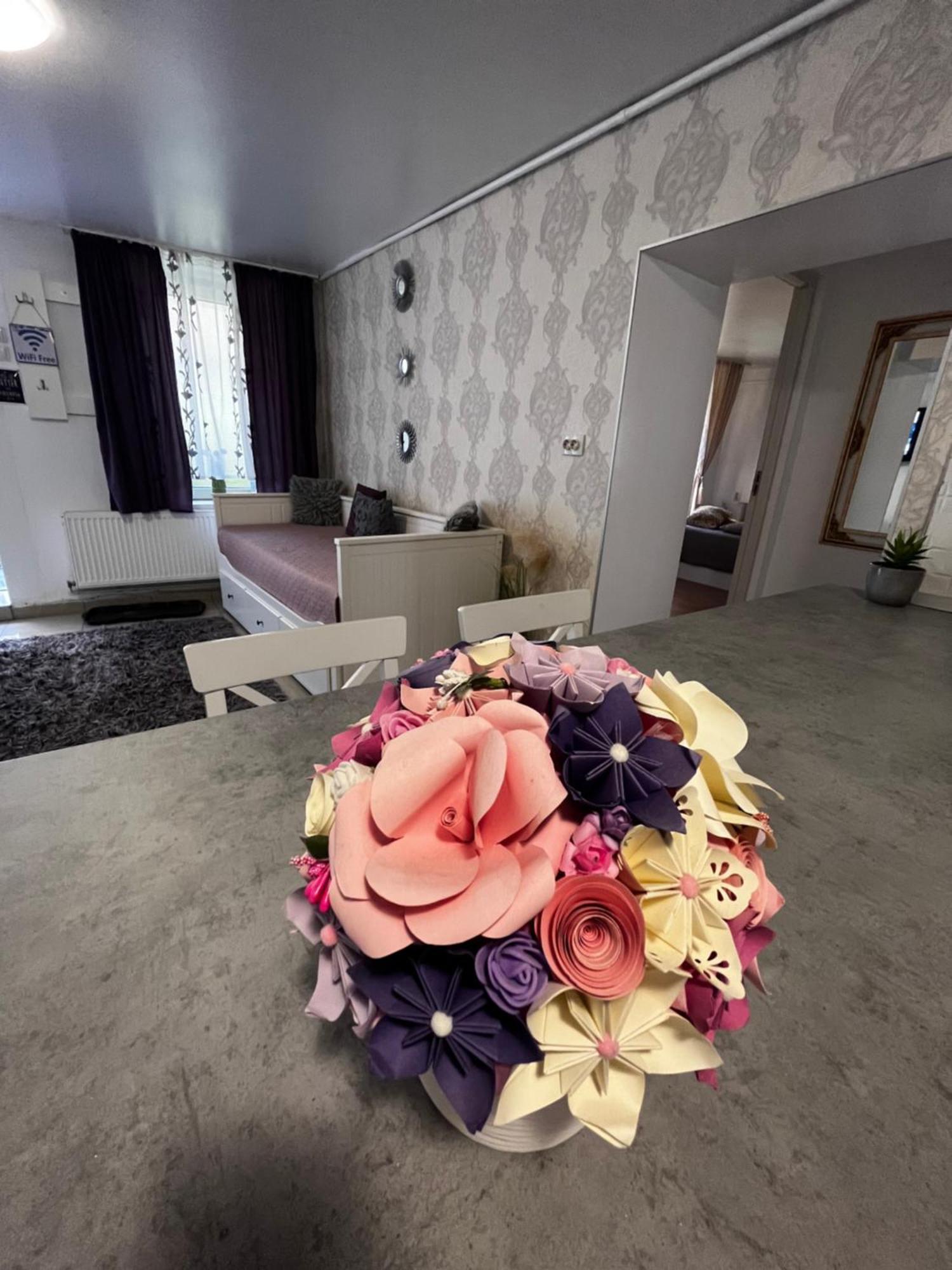 Color Home Hermannstadt 1 Sibiu Exterior foto