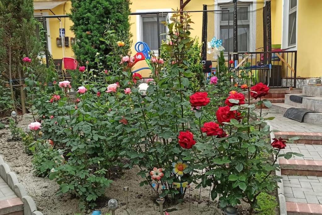 Color Home Hermannstadt 1 Sibiu Exterior foto