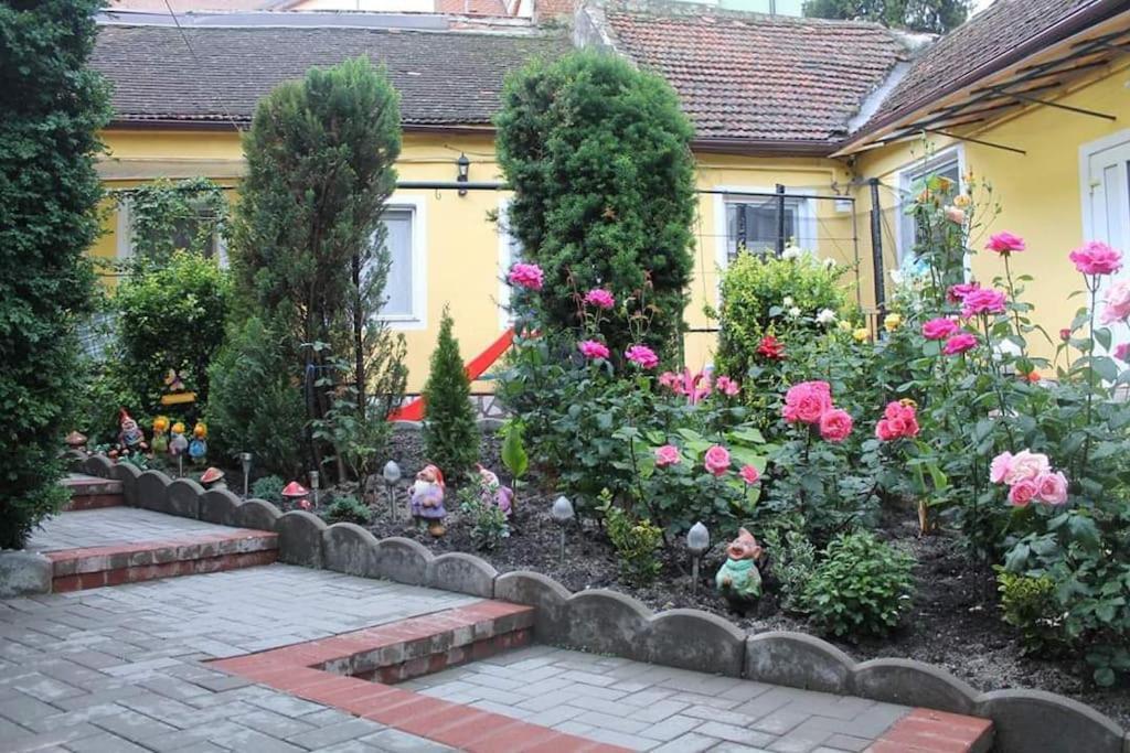 Color Home Hermannstadt 1 Sibiu Exterior foto